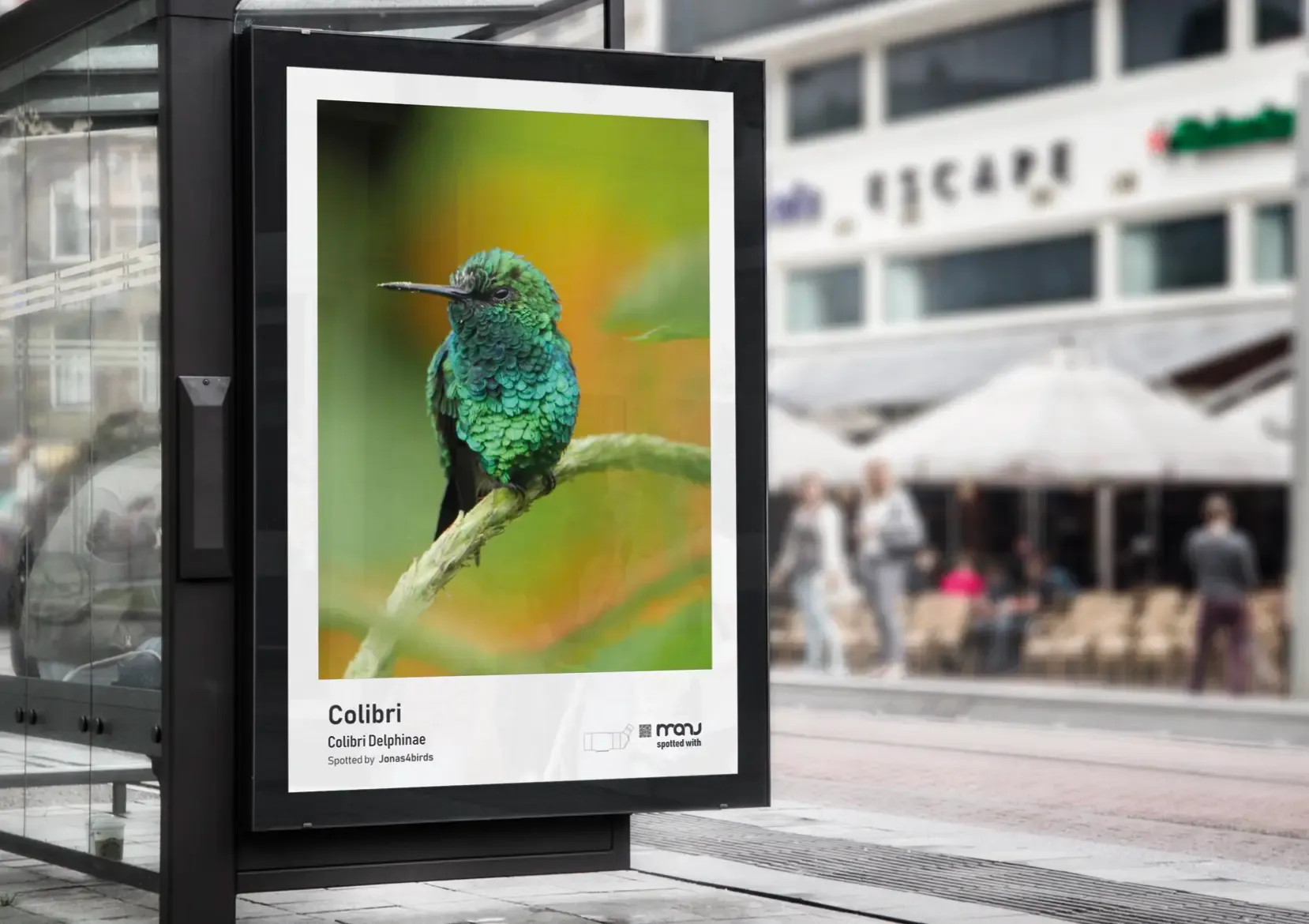 Every sighting can be shared, here imagined as a poster
