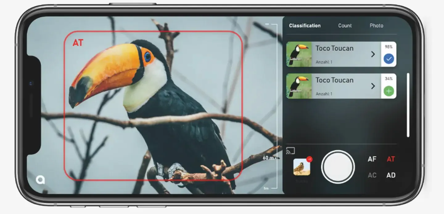 The app spots the species through the camera and suggests what it is